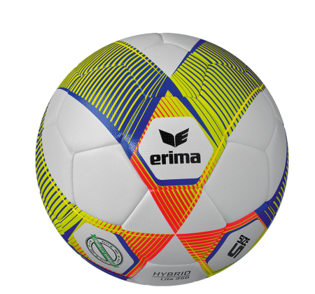 Trainingsball Gr. 5 | erima | Hybrid Lite 350 | Domsport