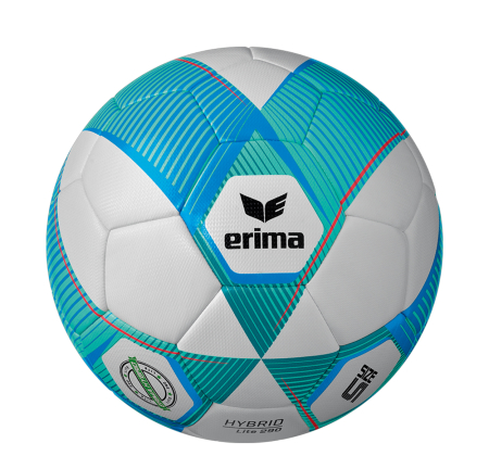 Trainingsball Gr. 5 | erima | Hybrid Lite 290 | Domsport