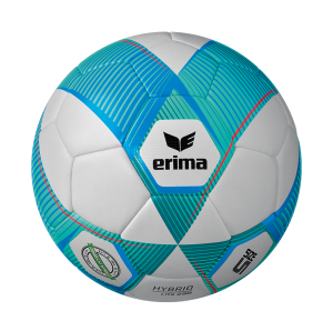 Trainingsball Gr. 5 | Erima Hybrid Lite 290 | Domsport