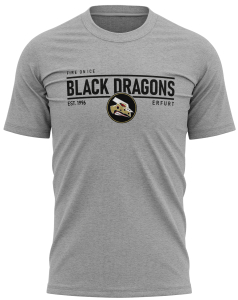 T-Shirt | unisex | fire on ice | heather grey | Black Dragons