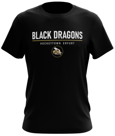 T-Shirt | unisex | Hockeytown 1 | schwarz | Black Dragons