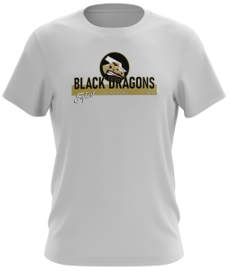 T-Shirt | unisex | Hockeytown 3 | weiß | Black Dragons