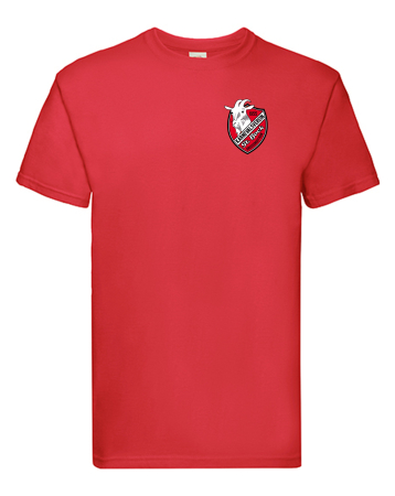 T-Shirt | Herren | Promodoro | rot - St. Bock...