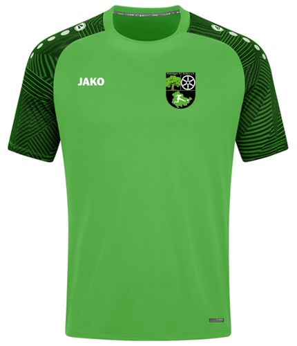 T-Shirt für Kinder/Herren | JAKO Performance | Thüringer FC Erfurt e.V.