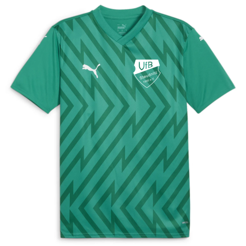 Trikot Herren | PUMA team glory | grün | VfB Steudnitz 1990 e.V.