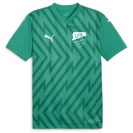 Trikot Herren | PUMA team glory | grün | VfB...