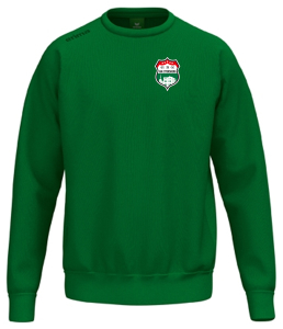 Sweatshirt | Erima TS | Kinder/Erwachsene | smaragd | SV Am Ettersberg