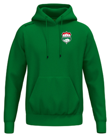 Hoody | Erima TS | Kinder/Erwachsene | smaragd | SV Am...